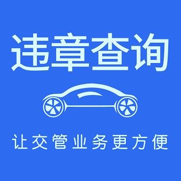 交管违章查询