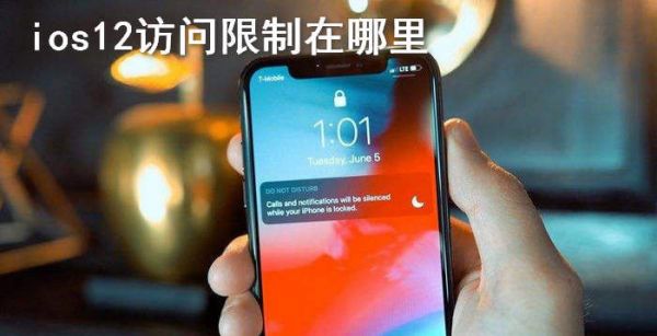 ios12访问限制在哪里