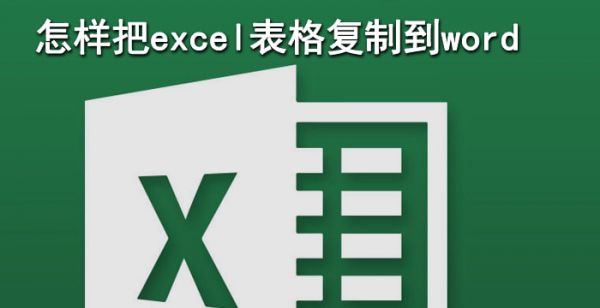 怎样把excel表格复制到word